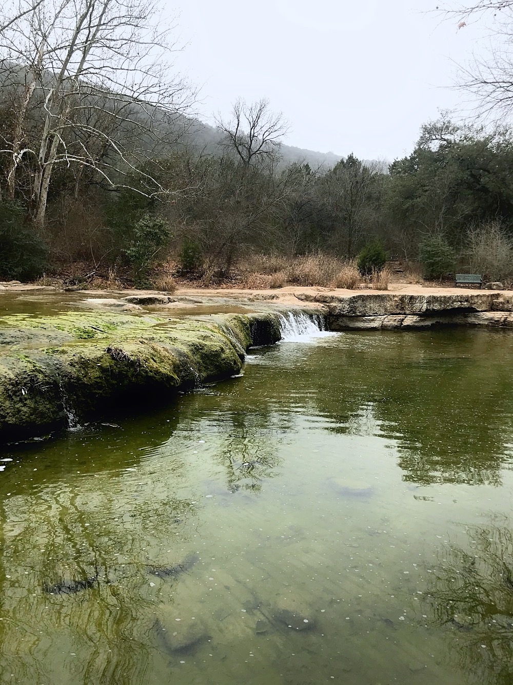 3 Inga VanNynatten Memorial Trail at Lower Bull Creek Greenbelt